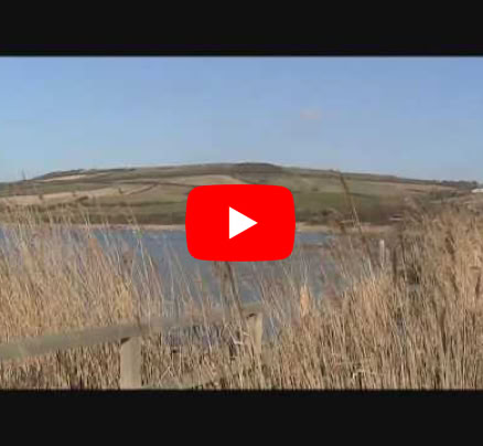 Video Play Video