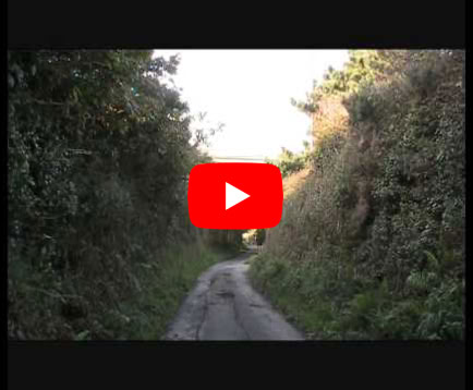 Video Play Video
