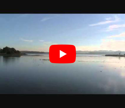 Video Play Video
